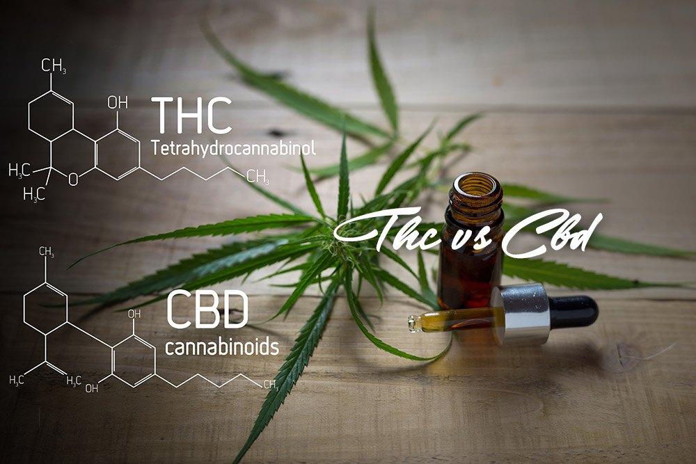 thc compared to cbd