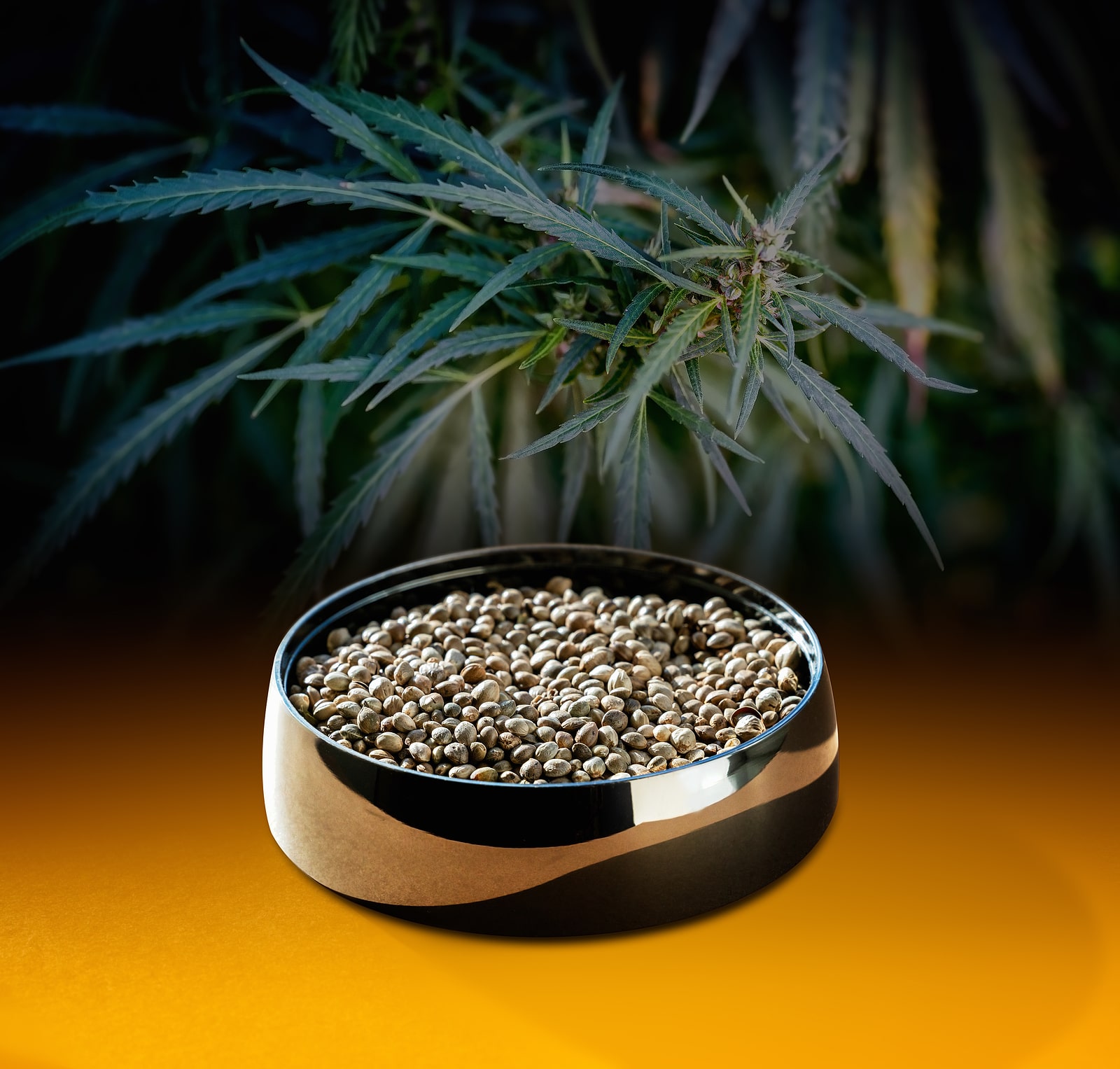 early miss cannabis strain review