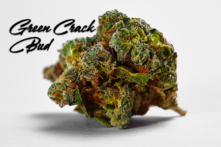 green crack cannabis bud