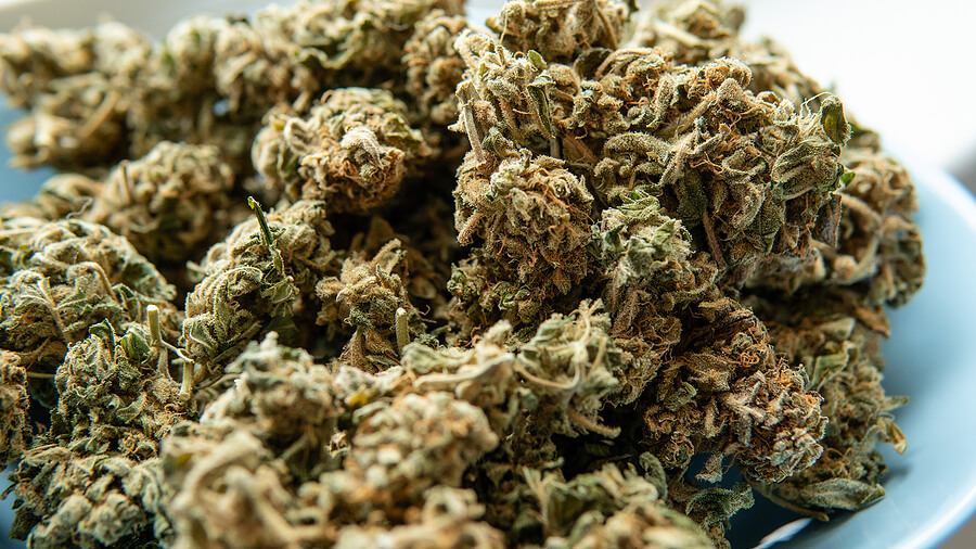 best marijuana strains adhd