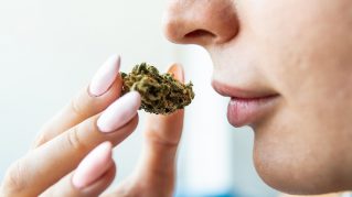 cannabis sleep