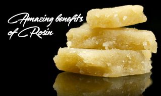 amazing benefits rosin