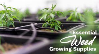 essential weed growing supplies