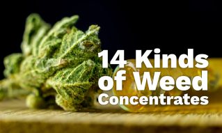 kinds of weed concentrates