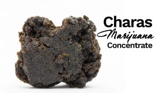 charas marijuana concentrate