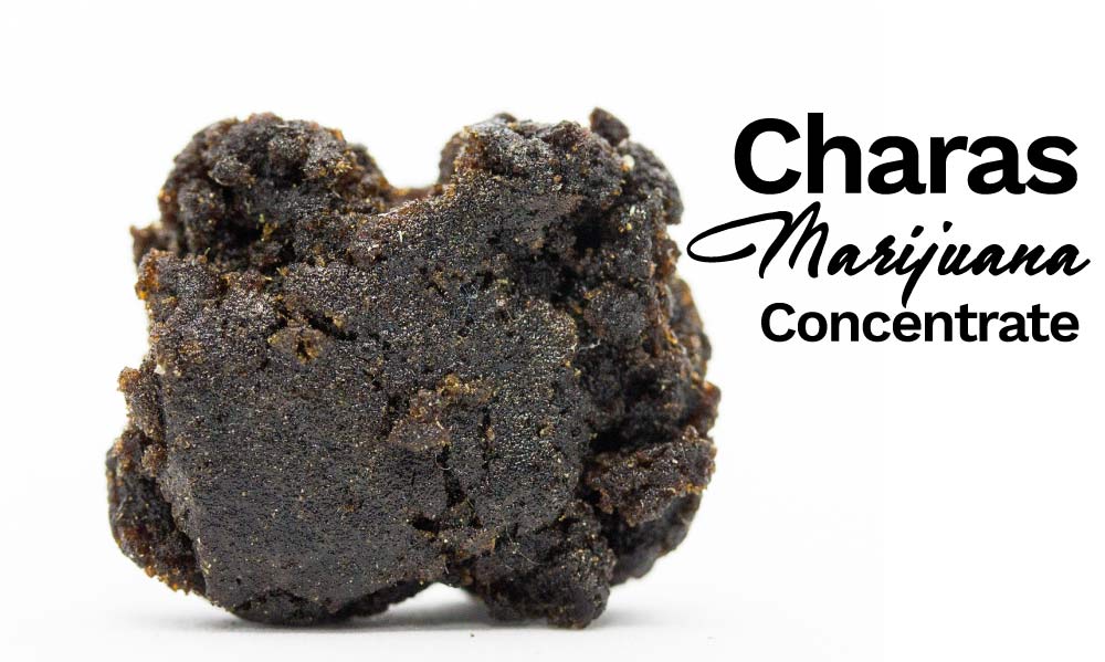 charas marijuana concentrate