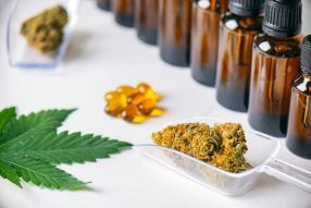 Everything you Need to Know about Linalool