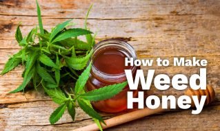 make weed honey