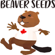 Beaver Seeds Logo