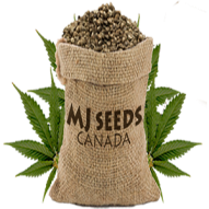 mjseeds_logo