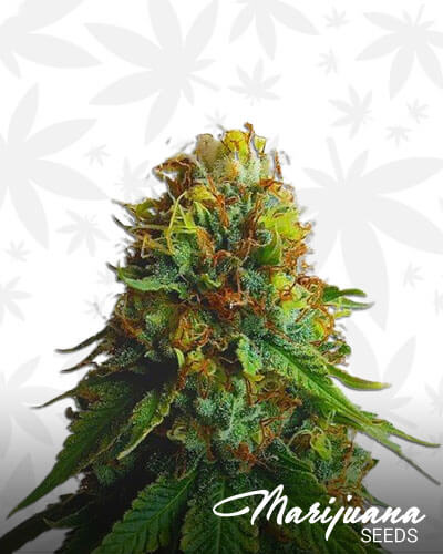 Green Goblin