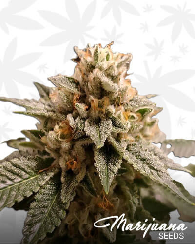 Diamond Chem