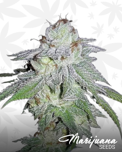Headstash