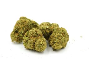 wake and bake