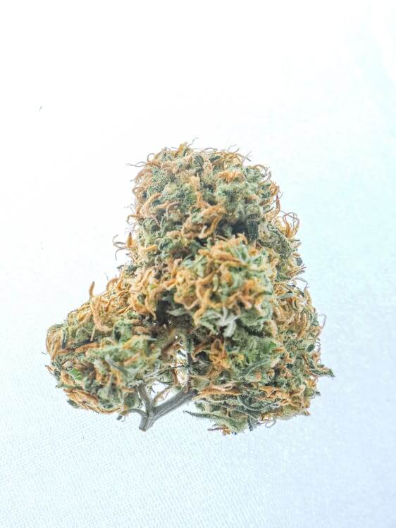 What is Kush