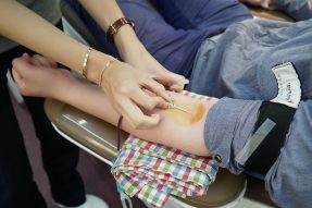 can you donate plasma if you smoke weed