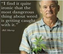 Weed meme 3
