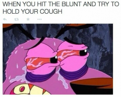 Weed meme 7