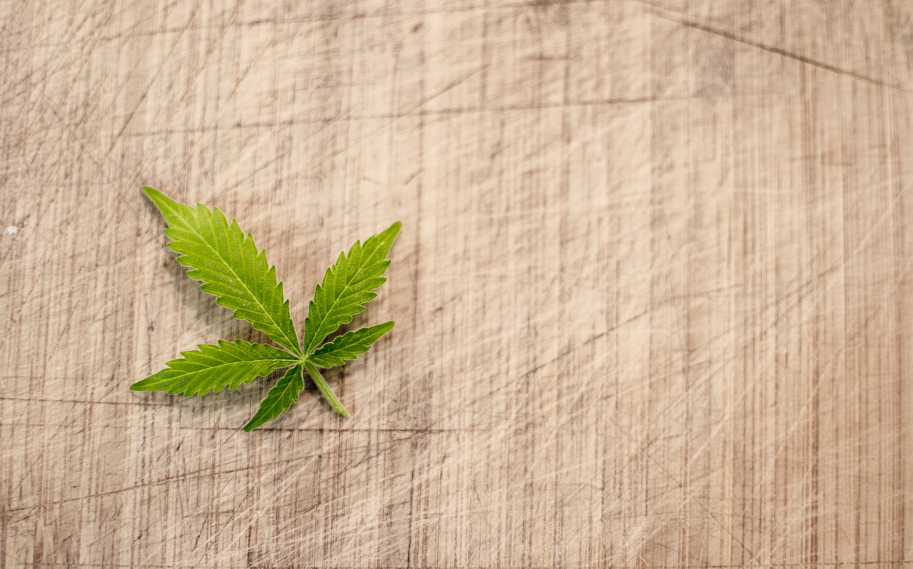 Myrcene and its Effects to Cannabis Users