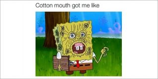 weed meme 9