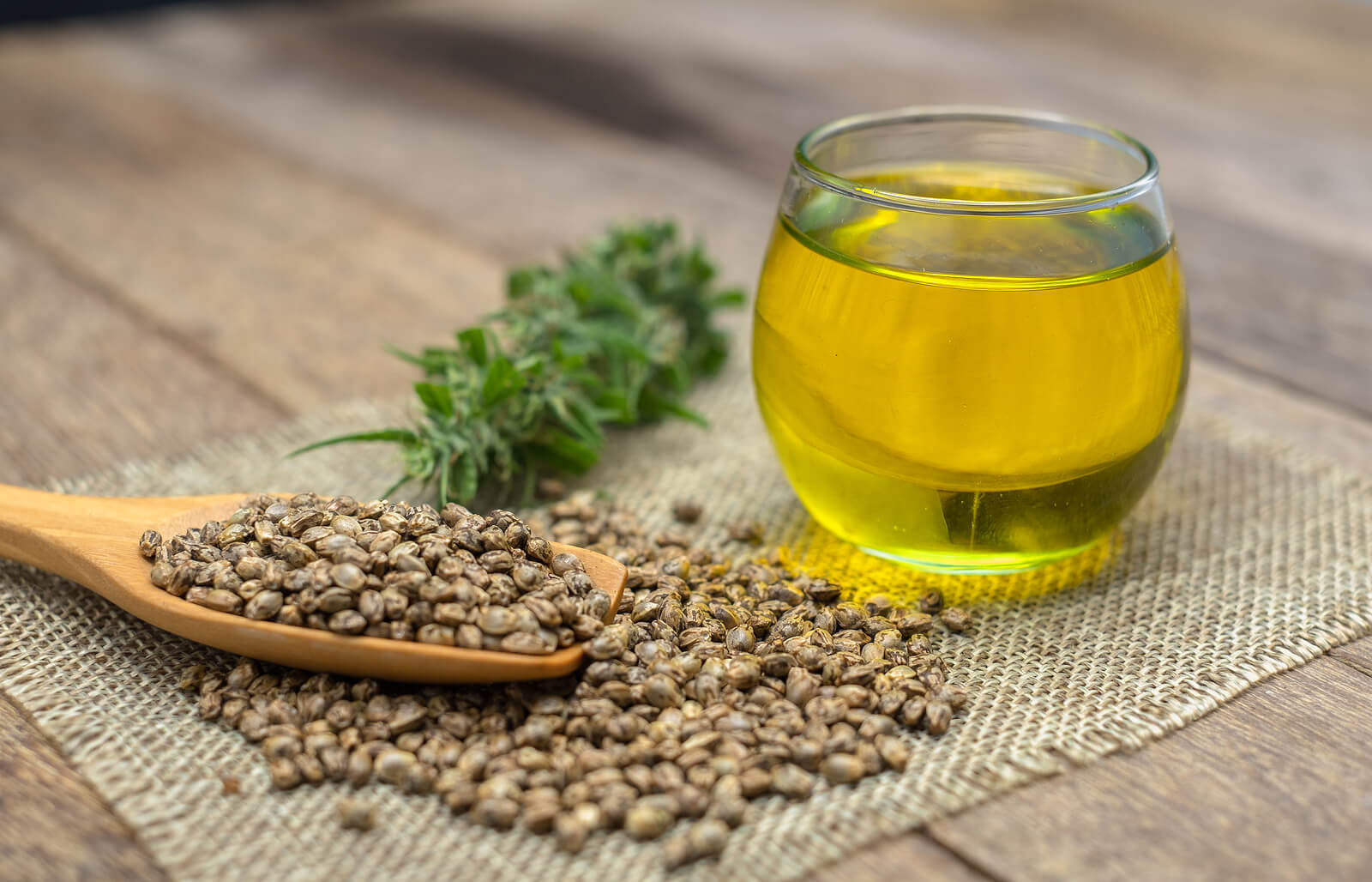 Buy Marijuana Seeds In Colorado
