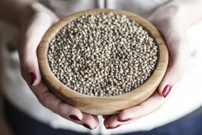 Buy Marijuana Seeds In Oregon