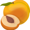 Apricot
