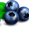Berry