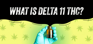 what is delta 11 thc