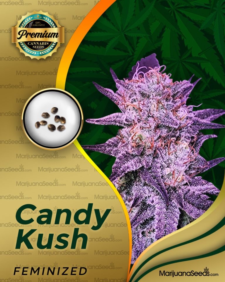 Candy Kush