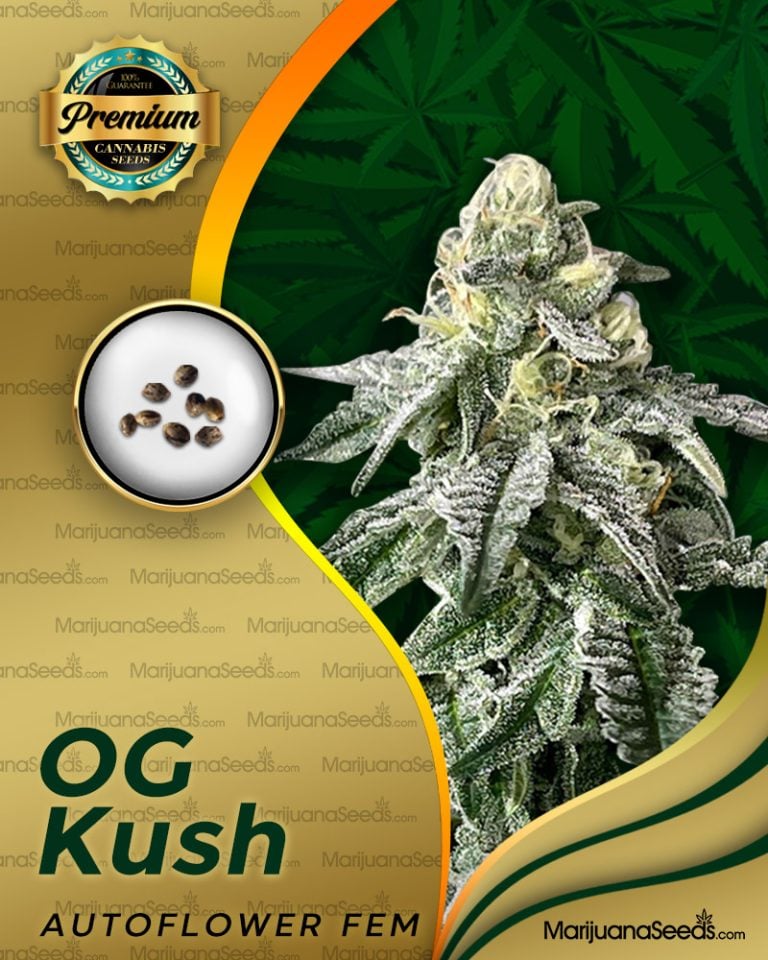 OG Kush