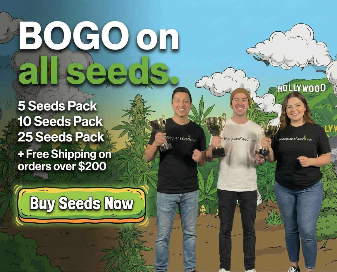 Single Product Bogo Banner