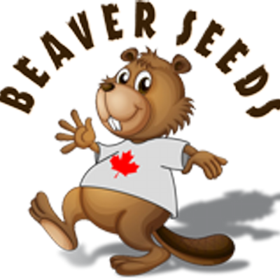 Beaver Seeds