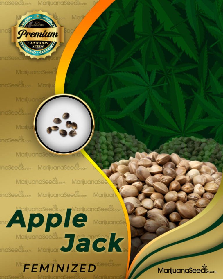 Apple Jack Strain Feminized Marijuana Seeds