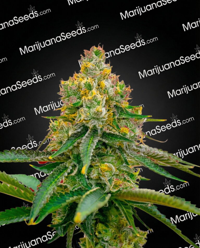 Critical 45 Strain