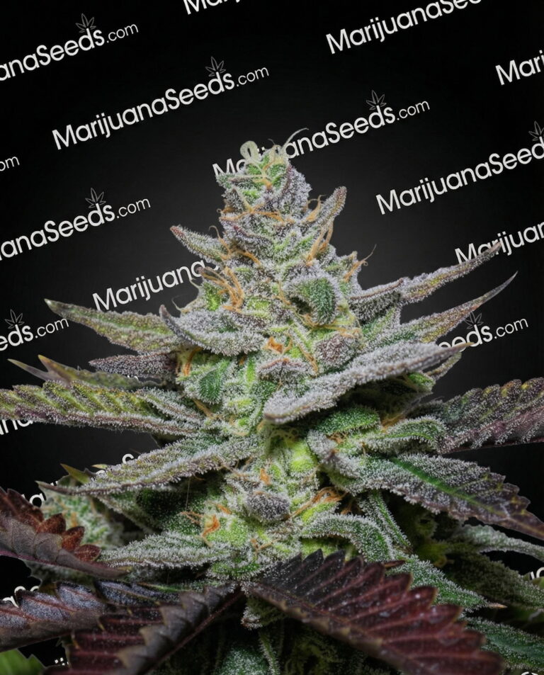 Zero G Strain