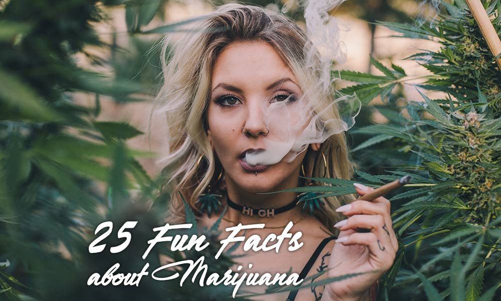 25 fun facts about marijuana