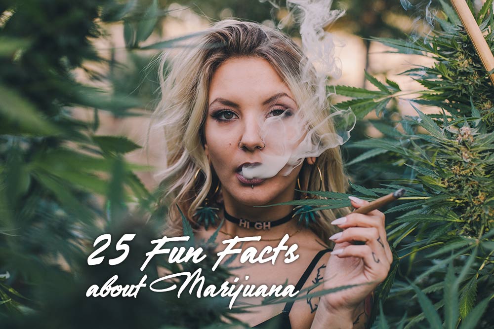 25 fun facts about marijuana