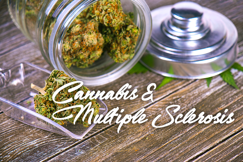 cannabis multiple sclerosis