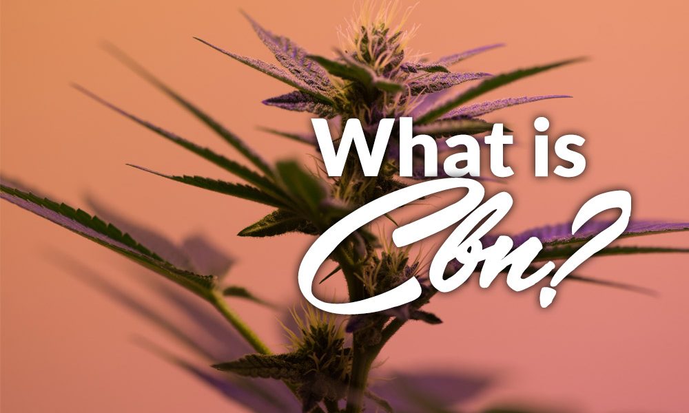 cbn marijuana
