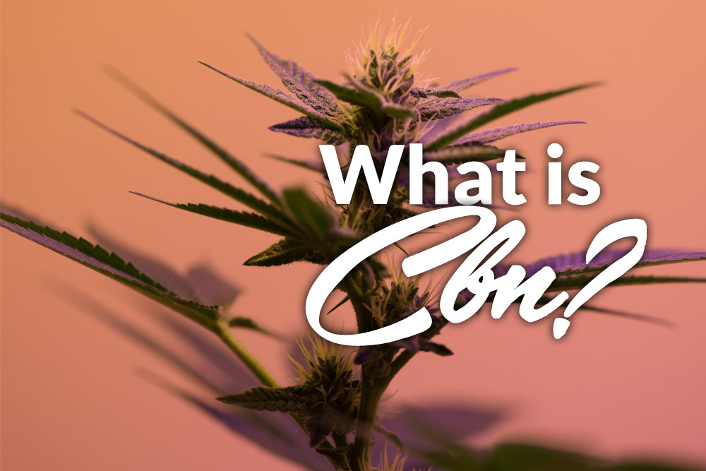 cbn marijuana