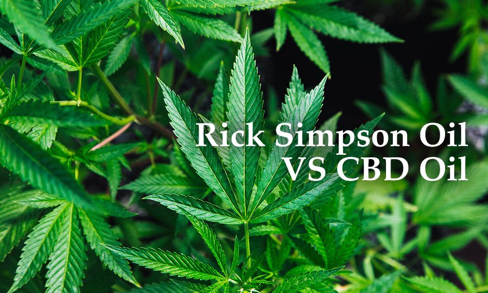 rick simpson oil cbd oil