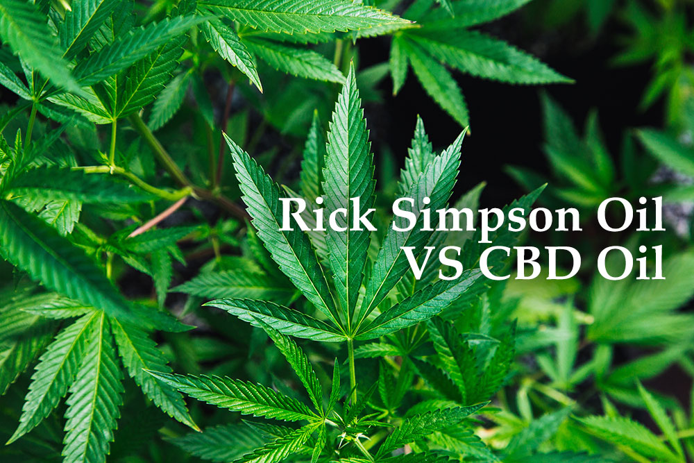 rick simpson oil cbd oil