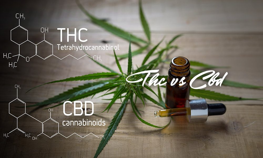 thc compared to cbd