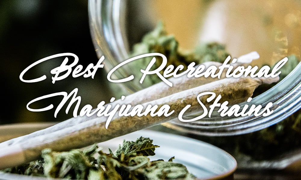 best recreational marijuana strains