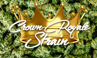 crown royale cannabis strain