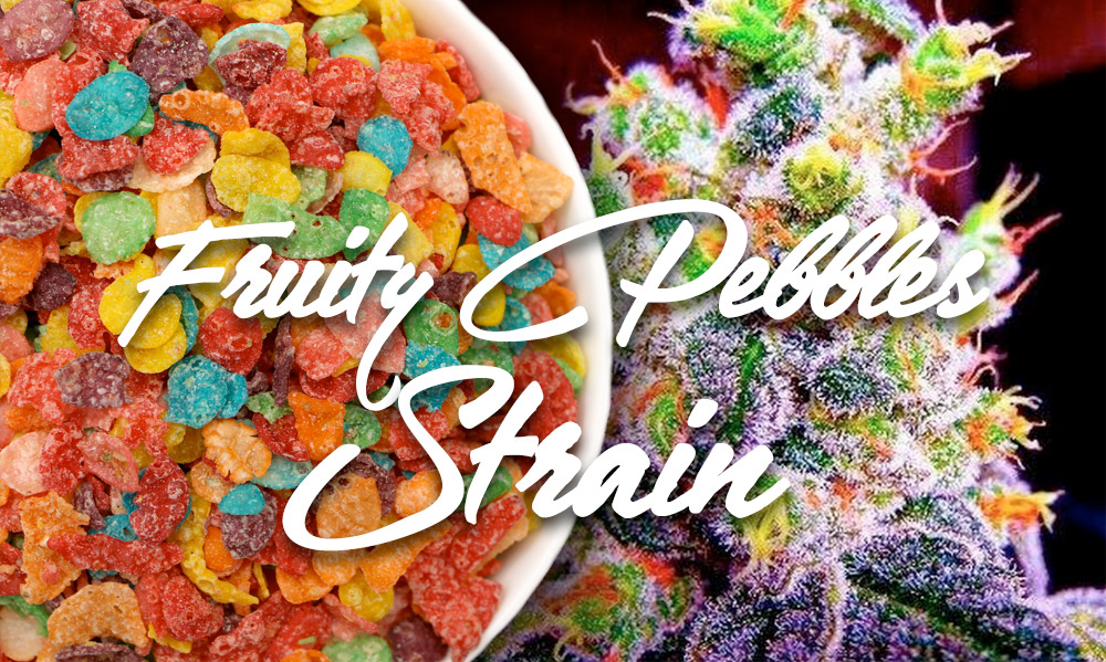 fruity pebbles cannabis strain