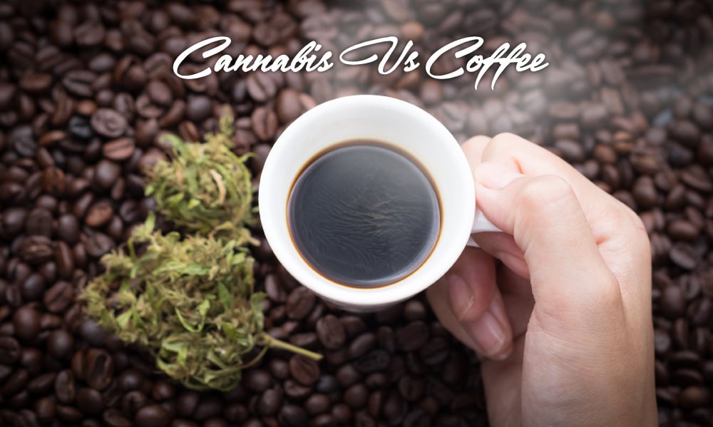 cannabis versus coffee