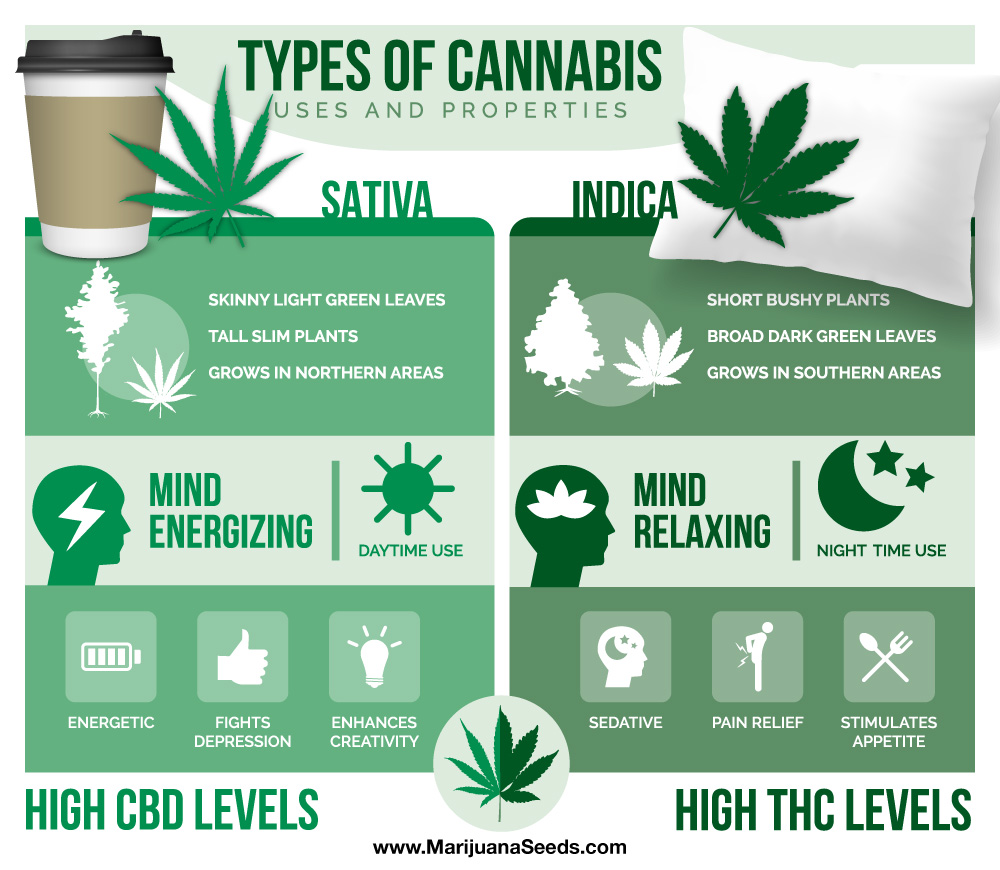 Indica Sativa Hybrid Chart