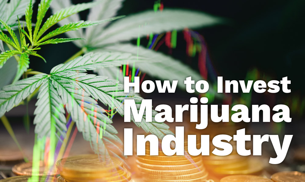 investing in the marijuana industry